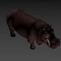 Realistic Hippopotamus 3D Character Model for Game and Film Projects