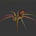 Detailed Brown Spider With Eight Long Legs And Striped Body On Dark Background