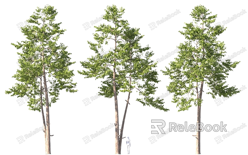 Old Trees Big Trees Alien Plants Cluster Solitary Planting Forest Vegetation Park Street Trees model