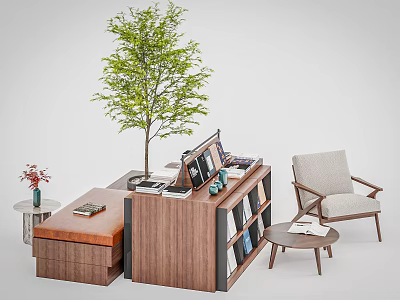 Modern Wooden Bookshelf In Interior Space With Tree Armchair Side Table And Books 3d model