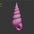 Modern Conch Bone Snail Field Snail 3d model