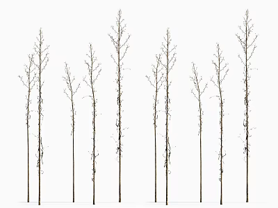Modern hay 3d model