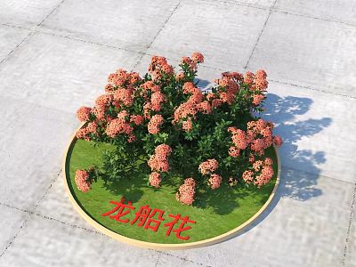Ixora Flowers In Circular Flower Bed With Green Grass And Orange Blooms On Stone Pavement 3d model