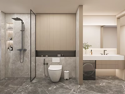 Modern Bathroom Interior With Marble Floor Shower Area Toilet Vanity And Mirror 3d model