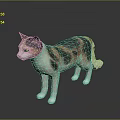 Calico Cat with Yellow Eyes in Standing Pose Against Dark Background Showing Smooth Fur
