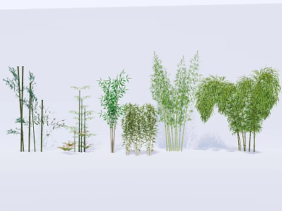 Diverse Bamboo Varieties With Tall Stems And Lush Green Leaves For Decorative Landscaping 3d model