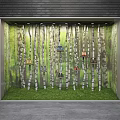Shop Window Display Featuring White Birch Trees Green Grass And Hanging Shoes