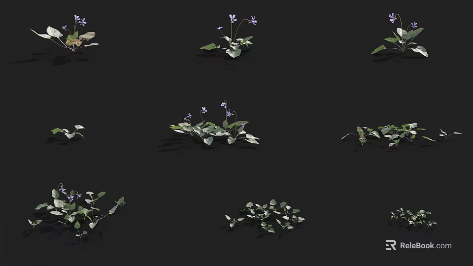 Multiple Green Plants With Purple Flowers Growing On Black Background 3d model 