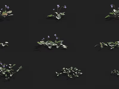Multiple Green Plants With Purple Flowers Growing On Black Background 3d model