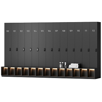 Modern locker 3d model