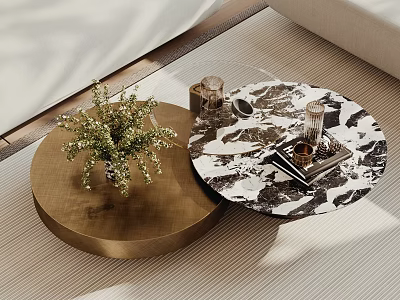 Round Wooden And Marble Coffee Tables With Plant Decor In Living Room 3d model