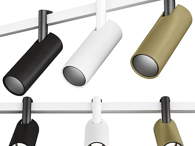 Modern Track Mounted Downlights and Spotlights in Black White and Gold Colors 3d model