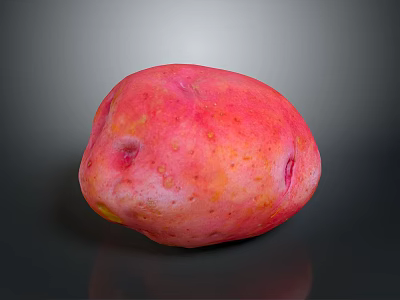 Fresh Vibrant Red Potato With Smooth Skin And Natural Spots For Healthy Cooking 3d model