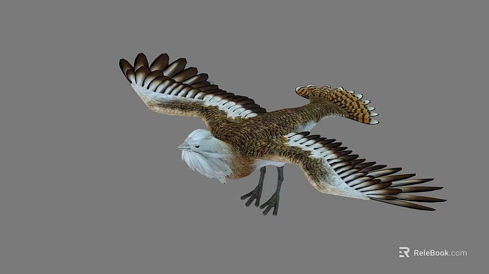 Flying Eagle With Spread Wings Brown White Feathers Detailed Plumage Flight Posture Sharp Claws 3d model 
