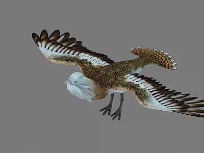 Flying Eagle With Spread Wings Brown White Feathers Detailed Plumage Flight Posture Sharp Claws 3d model