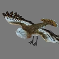 Flying Eagle With Spread Wings Brown White Feathers Detailed Plumage Flight Posture Sharp Claws 3d model