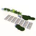 Beautiful Plant Combination With Stone Path Green Bushes And Potted Plant