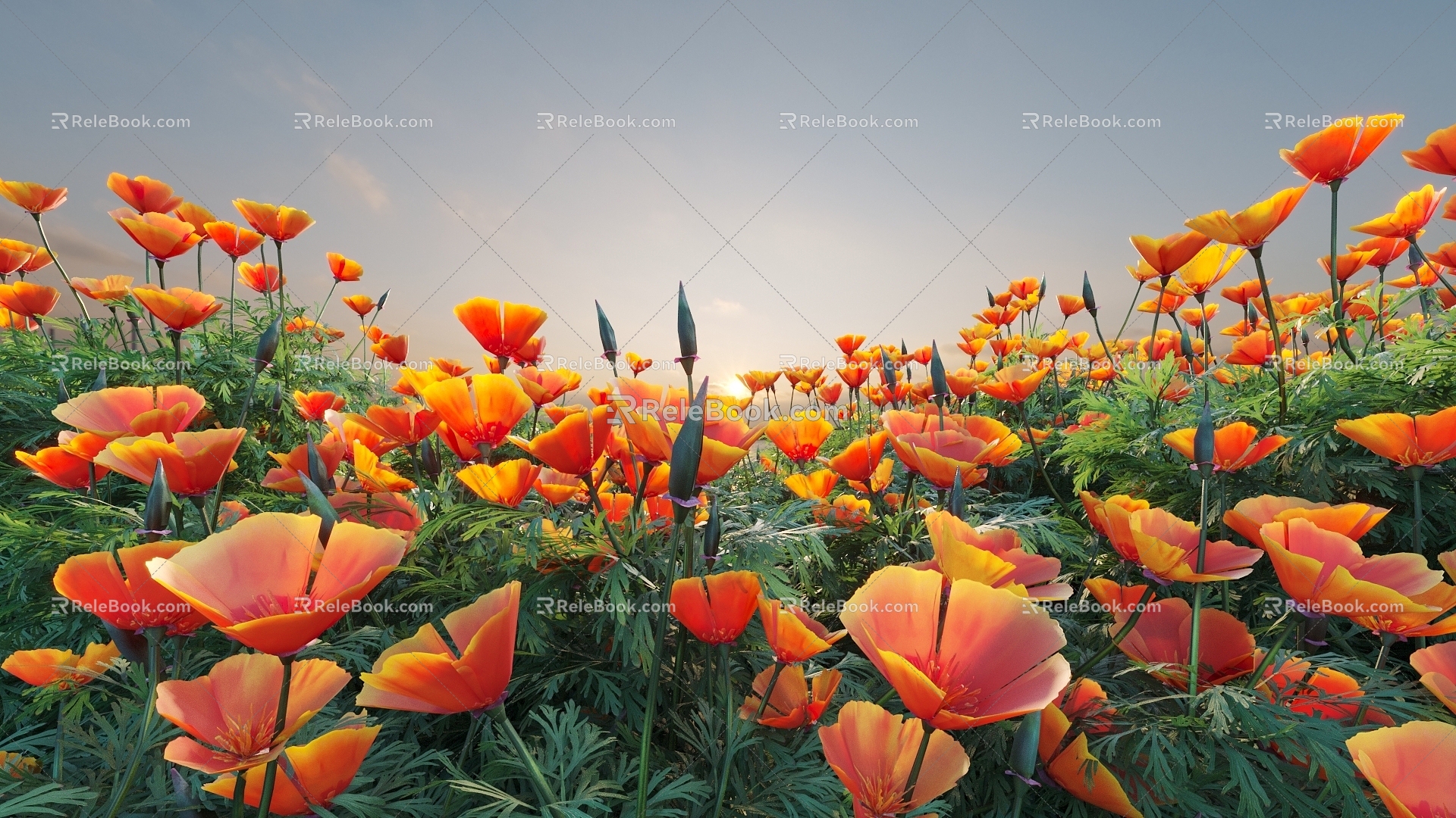 Flowers and Plants Combination Landscape Shrubs Shrubs Plant Combination Natural Landscape 3d model