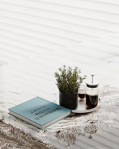 Stylish Decorative Ornament Set With Green Plant Glass Coffee Pot Tray And Book On Tabletop 3d model