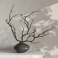 Elegant Gray Vase With Golden Twisted Branches On White Table Light Colored Wall With Light And Shadow
