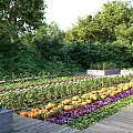 Vibrant Vegetable Garden Landscape With Raised Beds Colorful Flowers Lush Greens And Wooden Pathways