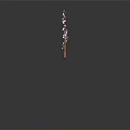 Pink Flowering Tree Branch With Brown Stem And Blooms Against Dark Background