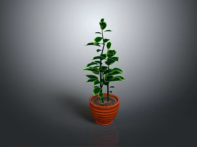 Lush Green Potted Plant With Glossy Leaves In Brown Striped Pot 3d model