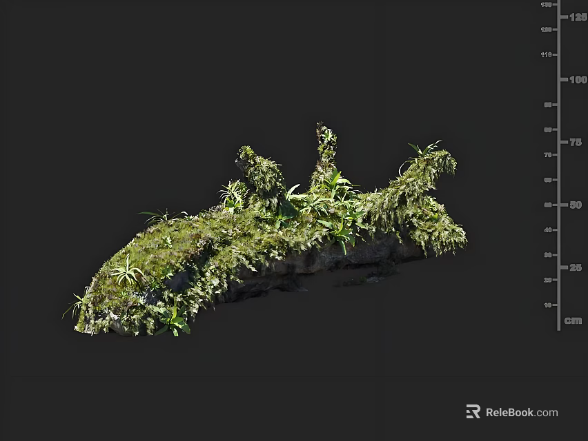 Natural Structure Covered With Green Plants And Moss On Dark Background With Measurement Scale 3d model 