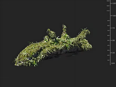 Natural Structure Covered With Green Plants And Moss On Dark Background With Measurement Scale 3d model