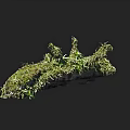 Natural Structure Covered With Green Plants And Moss On Dark Background With Measurement Scale
