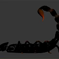 Black Scorpion With Curved Tail Red Stinger Multiple Legs And Detailed Body On Dark Background