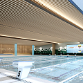 modern swimming pool swimming pool 3d model