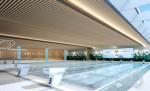 modern swimming pool swimming pool 3d model