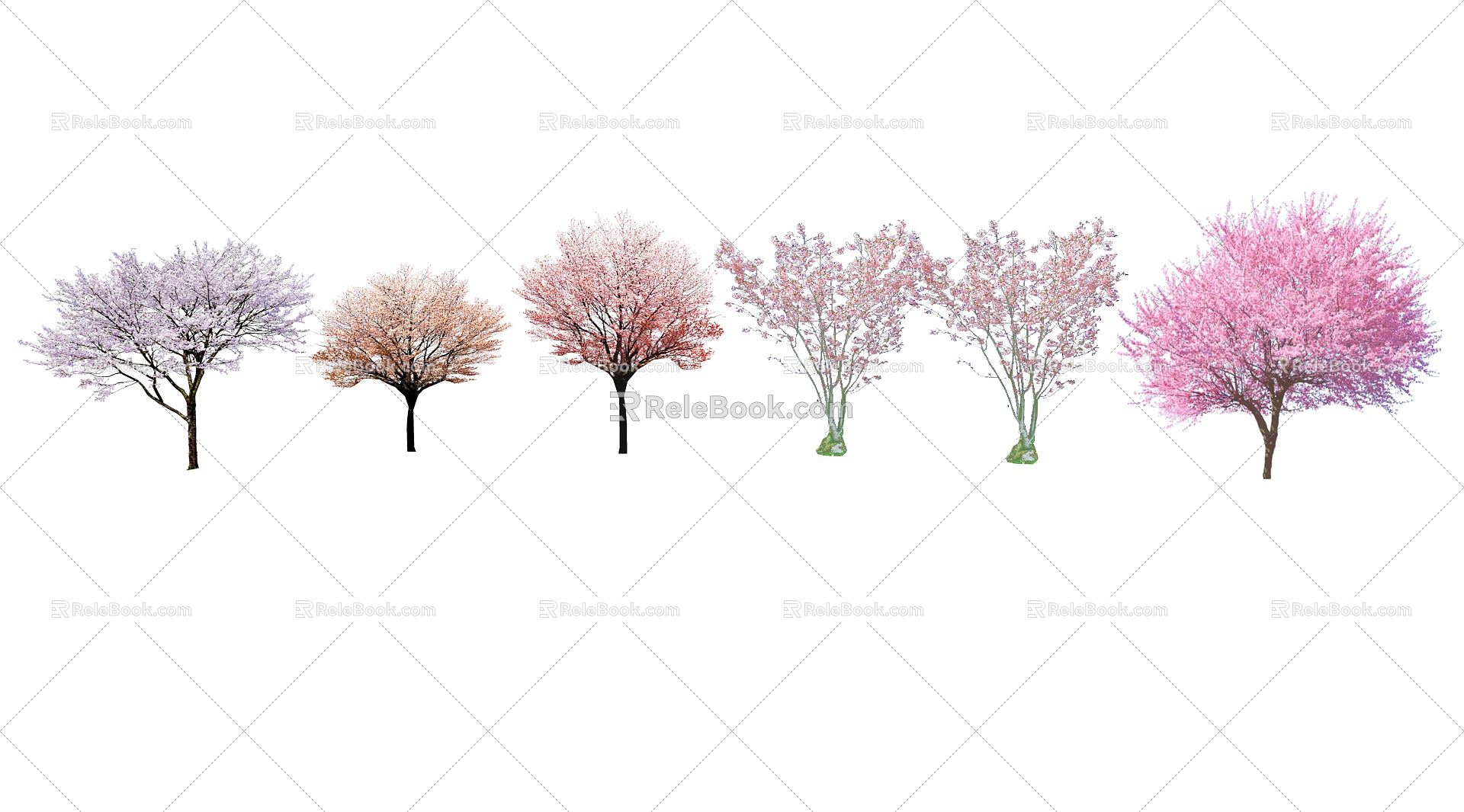 Modern Tree Sakura 3d model