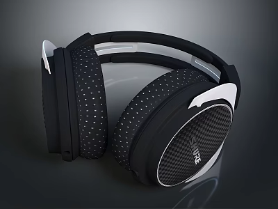 Black And White Computer Headphones With Dotted Earmuffs And RIG Logo 3d model