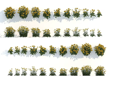 Yellow Flowers and Green Plants in Various Forms Arranged in Multiple Rows on White Background 3d model
