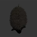 Black Sheep Character With Fluffy Wool And Expressive White Eyes