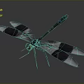 Dragonfly With Blue Black Body Orange Eyes And Black White Wings On Gray Background