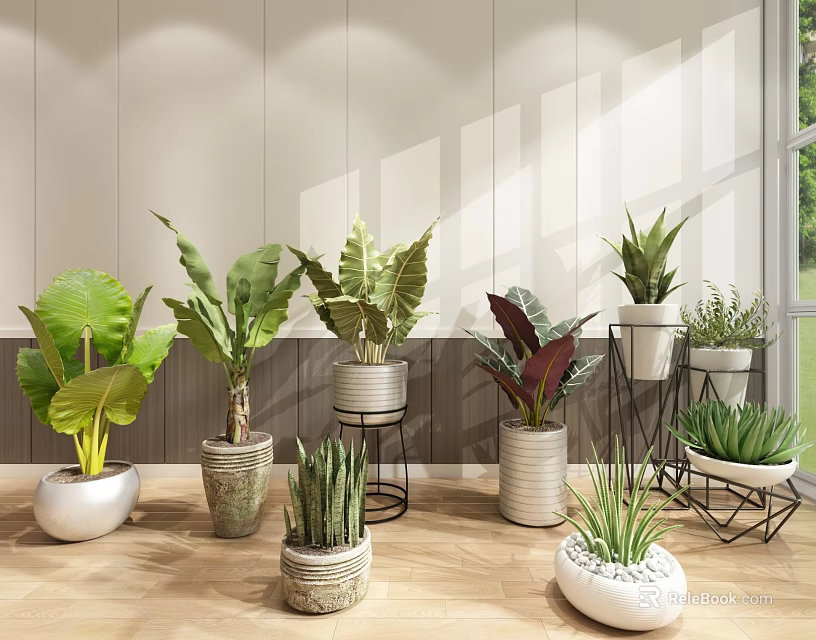 Indoor Bonsai and Potted Plants with Various Green Leaves in Decorative Pots 3d model 