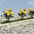 Three Yellow Flowering Trees Planted on Stone Pedestals with Blue Sky and White Clouds