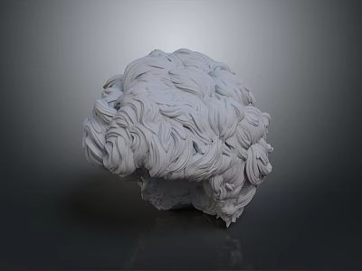 Realistic Human Brain 3D Model With Wavy Hair Like Textured Surface 3d model
