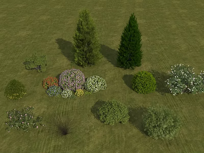 Tall Evergreen Trees in Green Grassland with Different Shrubs and Flowering Plants 3d model