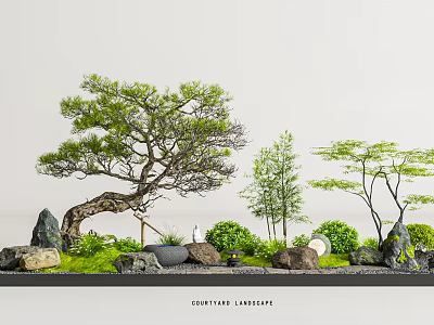 Courtyard Garden With Bonsai Pine Tree, Small Trees, and Stone Basin 3d model