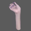 Anatomically Detailed Human Hand with Palm Up and Naturally Curved Fingers Against Gray Background