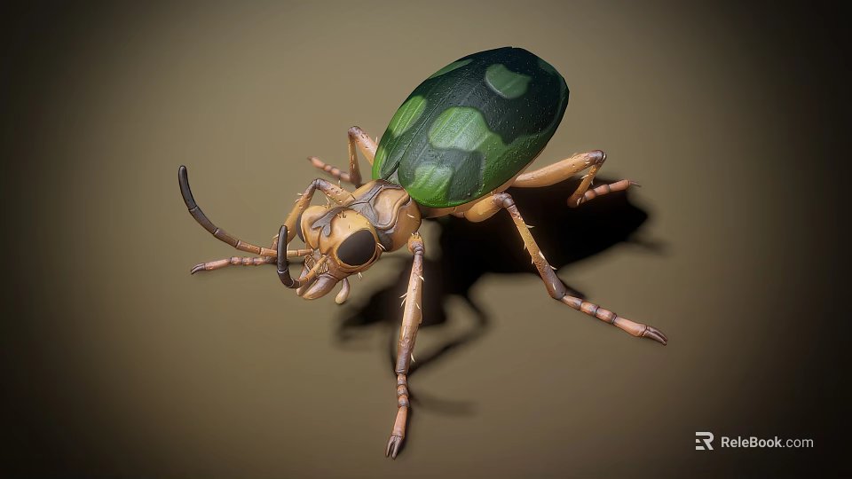 Green and Black Patterned Beetle With Brown Legs and Detailed Body 3d model 