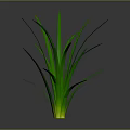 Green Grass With Slender Leaves Upright Growing On Gray Background With Reflection