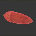 Red Tropical Fruit With Peeled Spiky Skin And Smooth Flesh On Dark Background