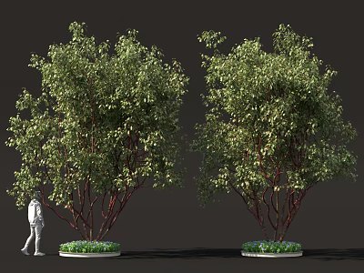 Two Leafy Trees With Green Leaves Red Branches On Circular Base And Dark Background 3d model