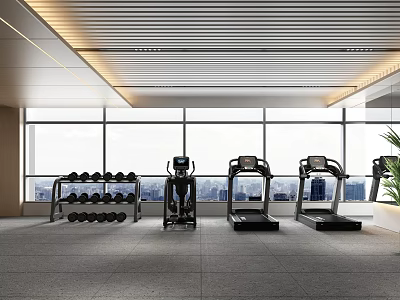 Modern Fitness Gym With Treadmills Dumbbell Rack And Large Windows City View 3d model