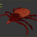 Red Tick Insect 3D Rendered Model With Detailed Body And Eight Legs